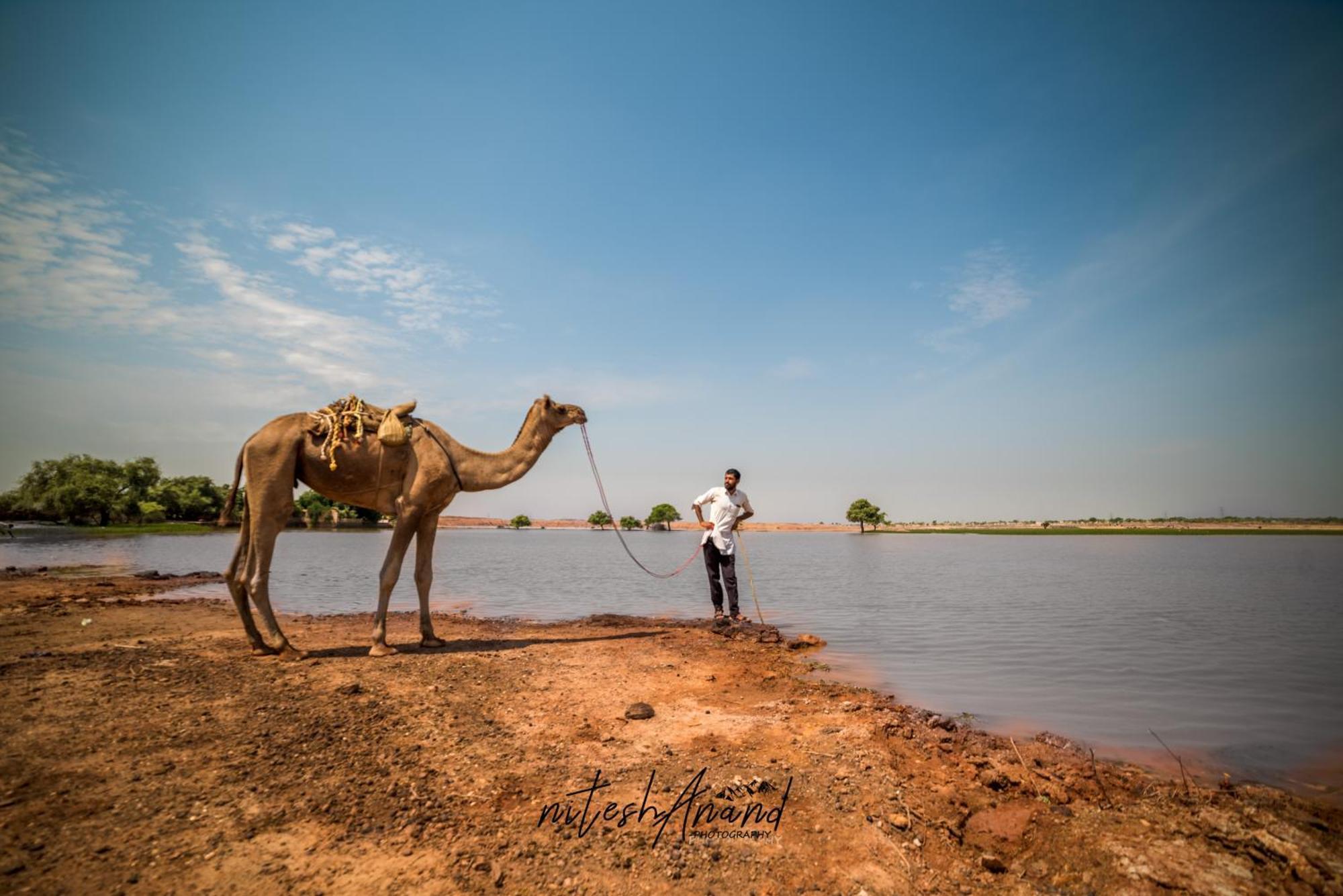 Hotel Vasudev Niwas Jaisalmer Eksteriør billede